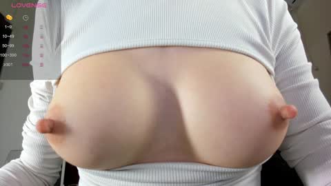 illegal_lorry online show from 12, 1, 2025