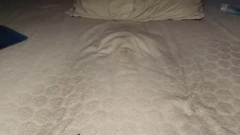 ilona4u online show from 23, 3, 2026