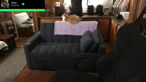 Carter online show from 5, 2, 2026