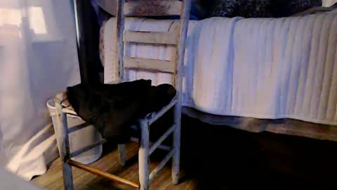 indicasonly online show from 4, 1, 2025