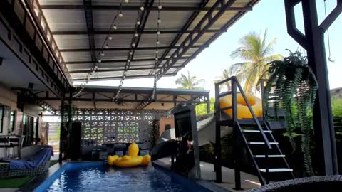 Vicki FANSLY ---   online show from 6, 1, 2025