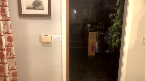 inkpiggy online show from 20, 2, 2026