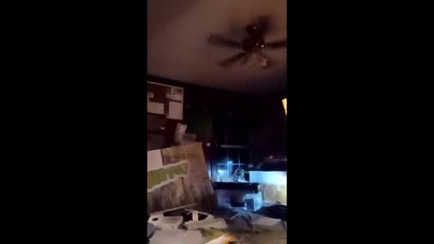 inmecum online show from 20, 3, 2026