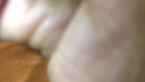 Snapshot of internationalgodfather chatting on 27, 1, 2025 InternationalGodFather online show from 27, 1, 2025