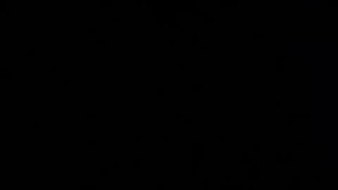 iridisit online show from 12, 4, 2026