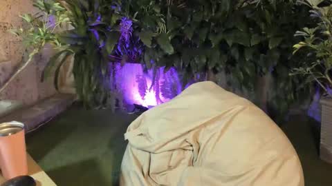 isabelastefano online show from 4, 10, 2025