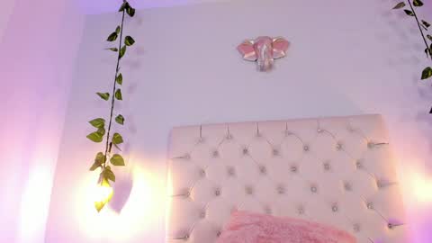   online show from 16, 1, 2025