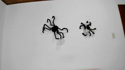 isabella_jaramillo online show from 2, 11, 2025