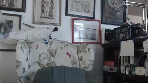 Snapshot of isubmissiveslut chatting on 17, 5, 2026 ImYourBitch online show from 17, 5, 2026