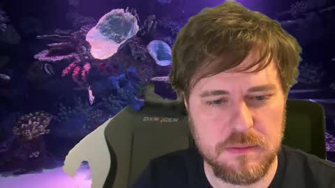 pain online show from 4, 12, 2025