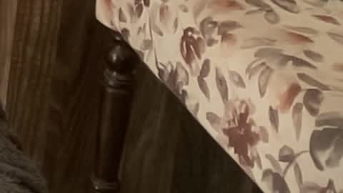 Raje online show from 11, 11, 2025