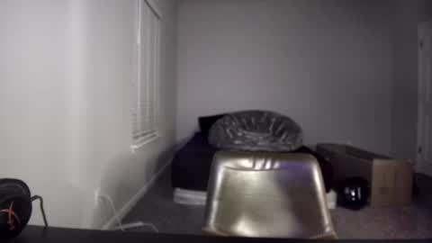 TARZAN online show from 10, 12, 2024