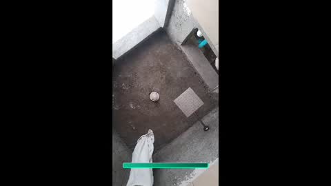 Aiv online show from 23, 11, 2025