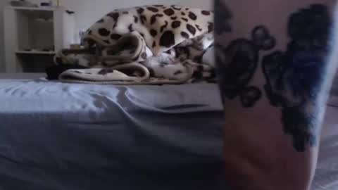 Snapshot of j3rkz chatting on 13, 12, 2025 J3RKZ online show from 13, 12, 2025