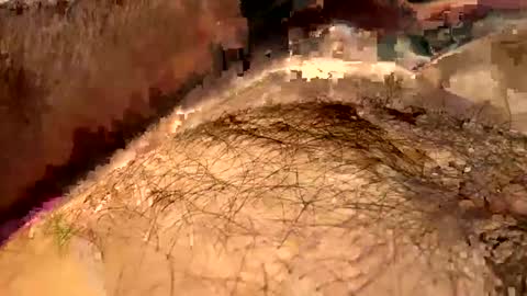 Snapshot of j789123 chatting on 21, 12, 2024 j789123 online show from 21, 12, 2024