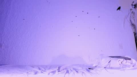 j_martony online show from 5, 11, 2025