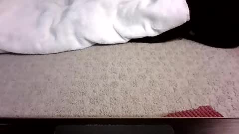 Snapshot of jack_wonder912 chatting on 13, 9, 2025 jack_wonder912 online show from 13, 9, 2025