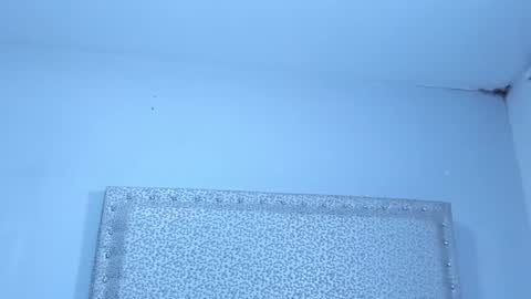 Jack White online show from 25, 1, 2025