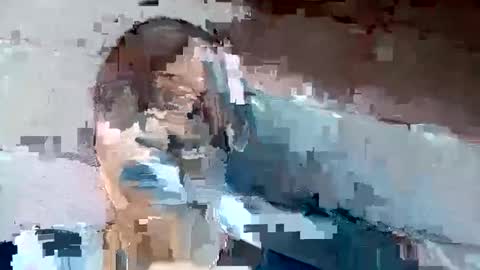 jackie petit online show from 2, 12, 2024