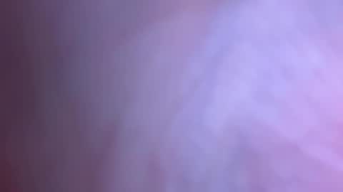 jackjackerman online show from 8, 4, 2026