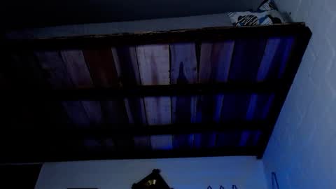 Michael Caicedo online show from 12, 3, 2025