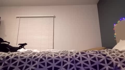 jaidenblake online show from 2, 12, 2024