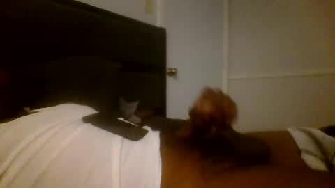 Jamacian online show from 16, 12, 2024