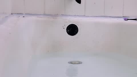 Bootyshows online show from 1, 3, 2026