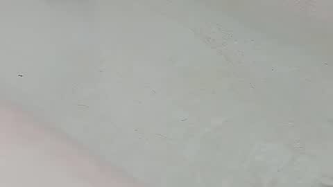 Bootyshows online show from 25, 7, 2026