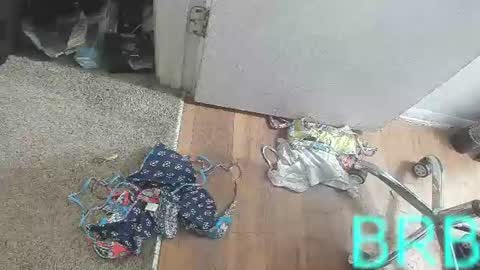 Bootyshows online show from 2, 8, 2026