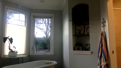 janicepepper online show from 2, 3, 2025