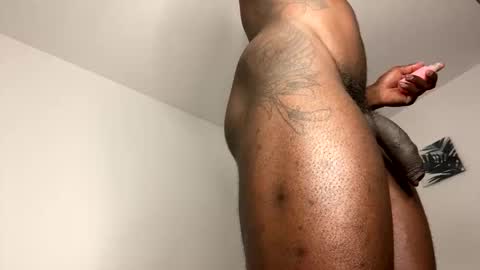 Janstallionx Independent official account online show from 29, 4, 2026