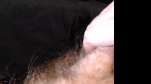 Jason online show from 14, 12, 2024