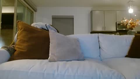 Jason Sweets online show from 7, 1, 2026