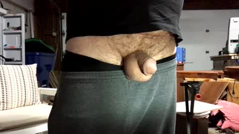 Jaws  online show from 24, 9, 2025