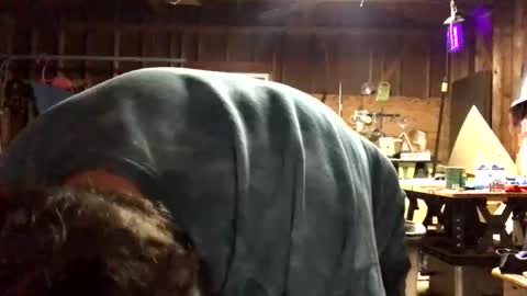 Jaws  online show from 27, 9, 2025