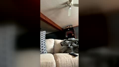 Jaws  online show from 5, 1, 2026