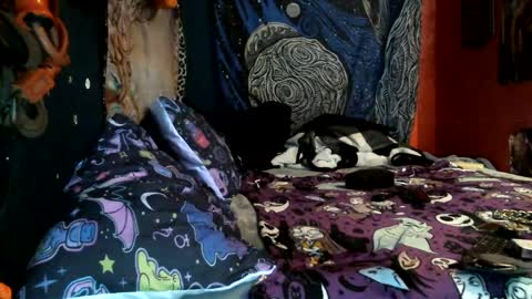 jaxxx666 online show from 12, 2, 2025