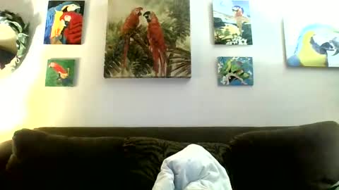 jay-jay1475 online show from 12, 1, 2025