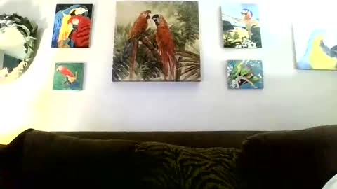 jay-jay1475 online show from 16, 1, 2025