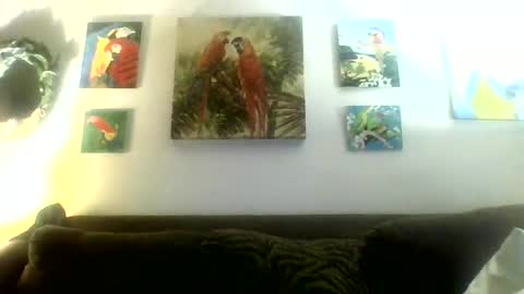 jay-jay1475 online show from 21, 1, 2025