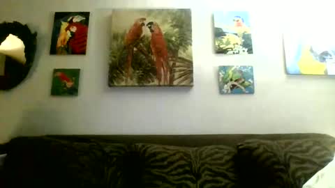 jay-jay1475 online show from 17, 2, 2025