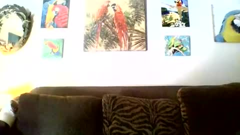 jay-jay1475 online show from 17, 11, 2025