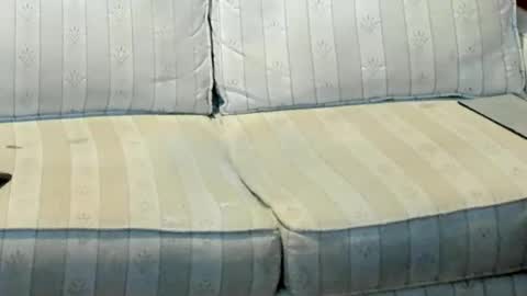 O F   jay short786 online show from 12, 1, 2026