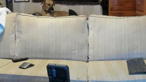 Snapshot of jay_short7863 chatting on 28, 6, 2026 O F jay short786 online show from 28, 6, 2026