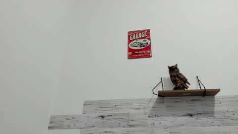 Jaycreedd online show from 29, 9, 2025