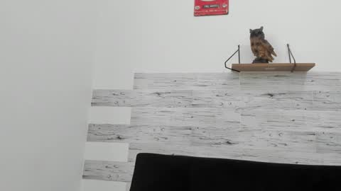 Jaycreedd online show from 2, 11, 2025