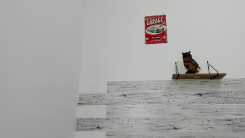 Jaycreedd online show from 22, 11, 2025