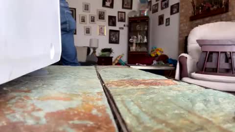 jdingo743817 online show from 19, 5, 2026