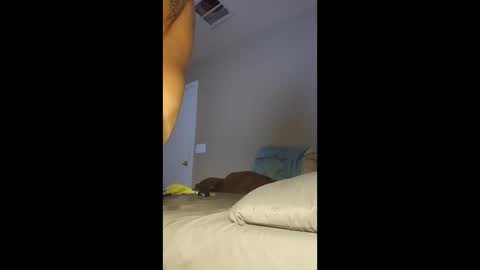 jdtripp15 online show from 13, 1, 2026